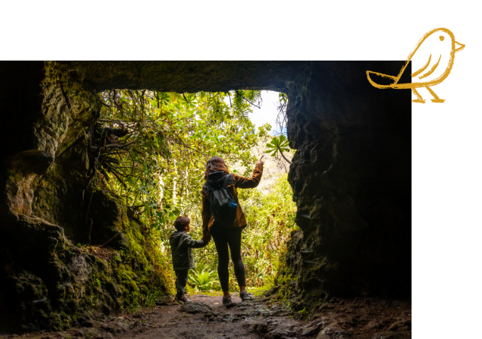 Hassle-free Maintenance